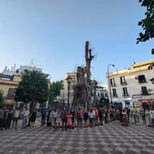 Concentración a los pies del ficus de San Jacinto - PLATAFORMA DEL FICUS DE SAN JACINTO Concentración a los pies del ficus de San Jacinto - PLATAFORMA DEL FICUS DE SAN JACINTO