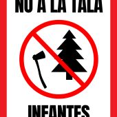 No a la tala. Infantes