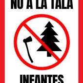 No a la tala. Infantes No a la tala. Infantes