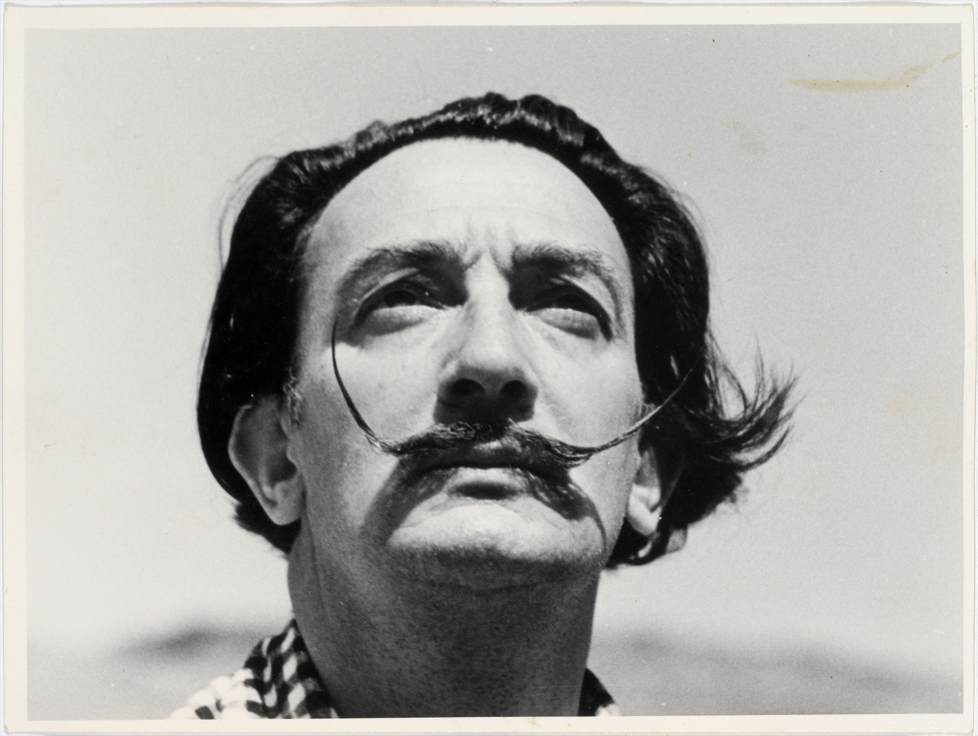 Depradados: Todo sobre Salvador Dalí Depradados: Todo sobre Salvador Dalí