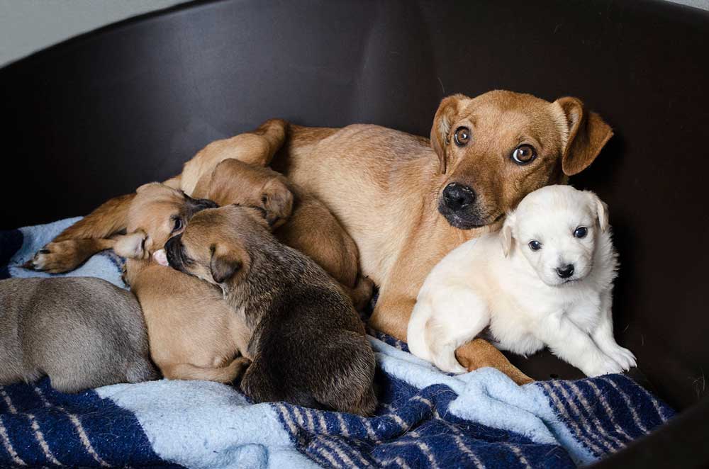 Más de Uno Canarias | Jueves 29/08/2024 Más de Uno Canarias | Jueves 29/08/2024