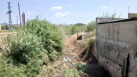 Limpieza de barrancos en Alzira Limpieza de barrancos en Alzira