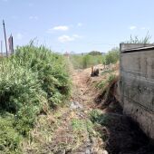 Limpieza de barrancos en Alzira