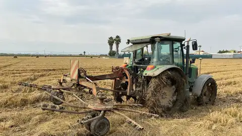 Recogida y empacado de la paja del arroz Recogida y empacado de la paja del arroz