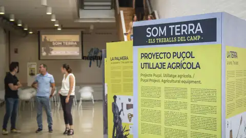 'Som terra’: la propuesta del Museo Escolar de Puçol que lleva la tradición rural por todo Elche 'Som terra’: la propuesta del Museo Escolar de Puçol que lleva la tradición rural por todo Elche