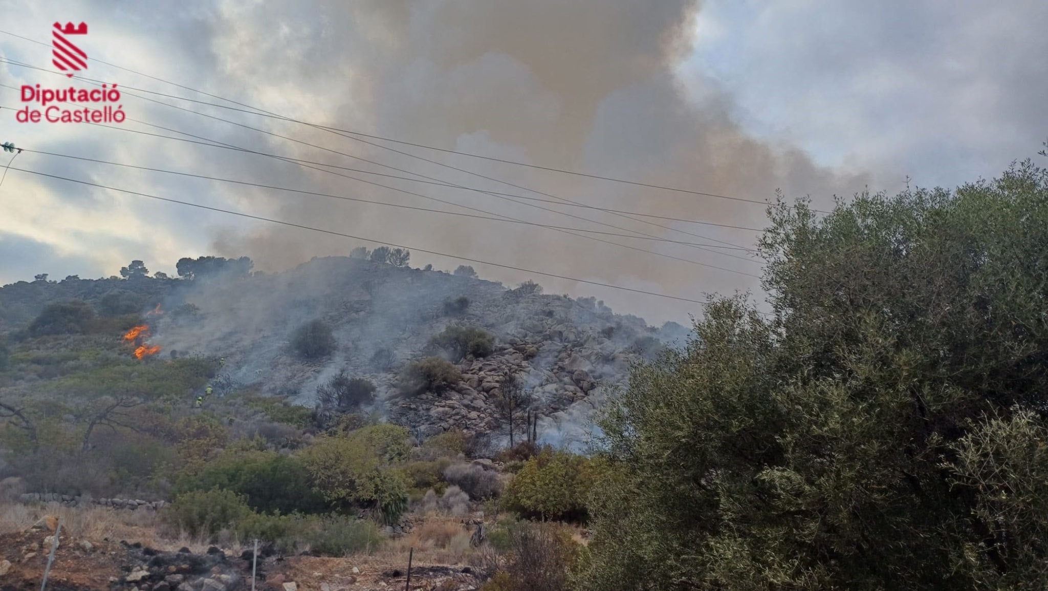 Los tres focos del incendio entre Benicasim y Oropesa levantan la sospecha de que el fuego sea intencionado Los tres focos del incendio entre Benicasim y Oropesa levantan la sospecha de que el fuego sea intencionado