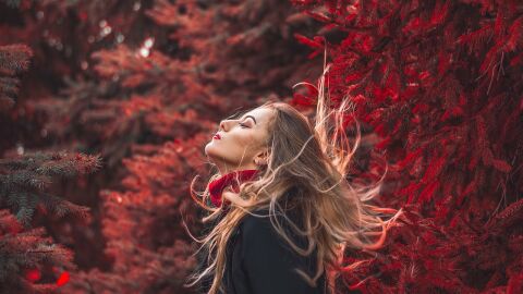 La moda de oto&ntilde;o se ti&ntilde;e de rojo oscuro