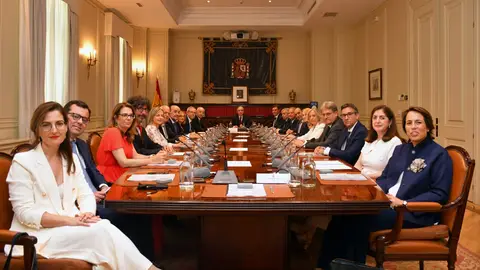 Los nuevos veinte vocales durante el primer pleno del octavo mandato del Consejo General del Poder Judicial (CGPJ) Los nuevos veinte vocales durante el primer pleno del octavo mandato del Consejo General del Poder Judicial (CGPJ)