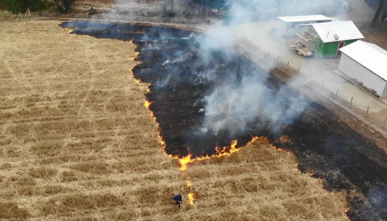 ASAJA Segovia solicita la quema de rastrojos para la campaña de siembra de 2024 ASAJA Segovia solicita la quema de rastrojos para la campaña de siembra de 2024
