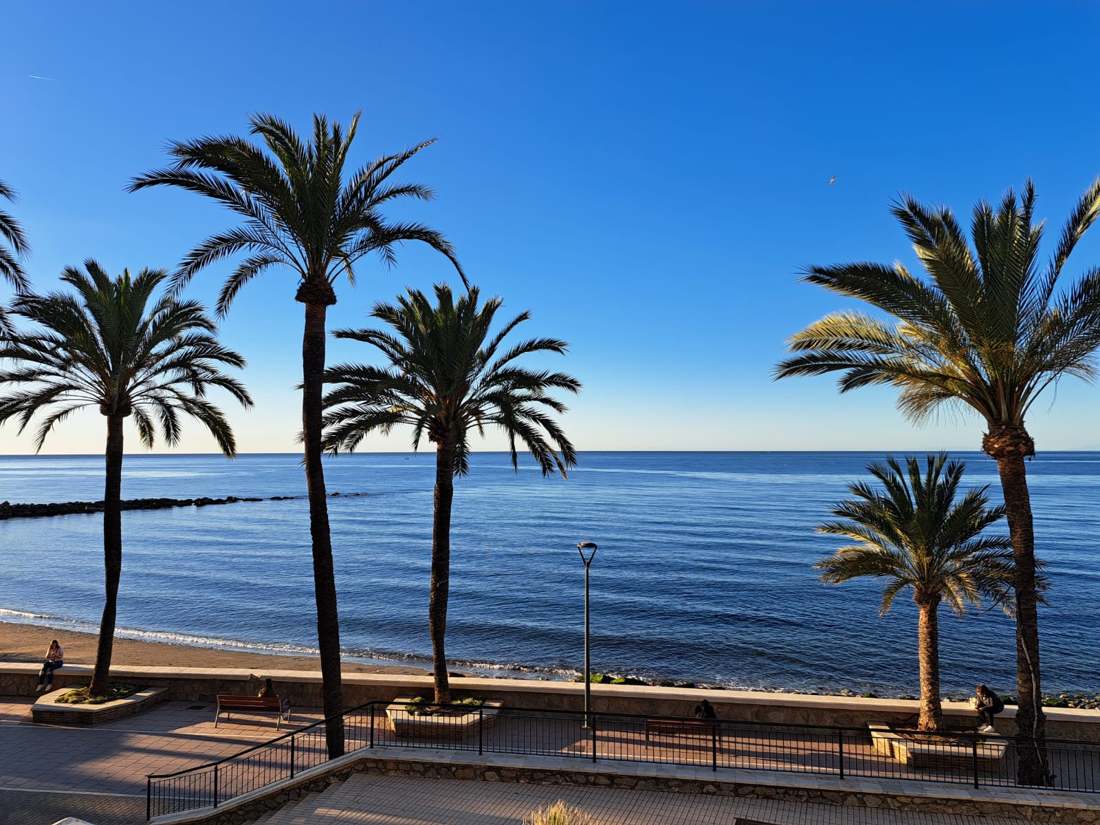 CON EL DARDO EN LA PALABRA. La columna de opinión de Miguel Nieto CON EL DARDO EN LA PALABRA. La columna de opinión de Miguel Nieto