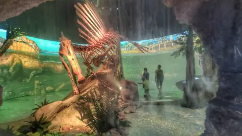 Recorrido temático del Mar Jurásico Mar Jurásico