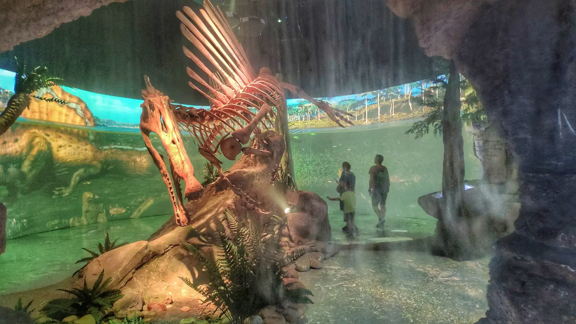 Recorrido temático del Mar Jurásico Recorrido temático del Mar Jurásico