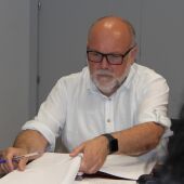 Criticas al Plan de Arbolado del Ayuntamiento de Toledo 