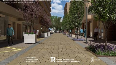 Peatonalizaci&oacute;n calles de Ciudad Real