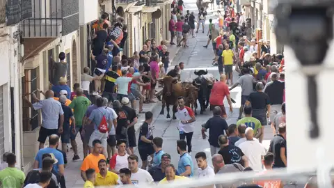 Archivo - Festejo de 'bous al carrer' en imagen de archivo - Archivo - Festejo de 'bous al carrer' en imagen de archivo -