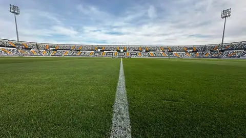 Nuevo Vivero Nuevo Vivero