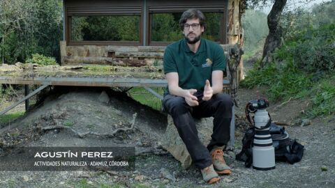 Andr&eacute;s P&eacute;rez