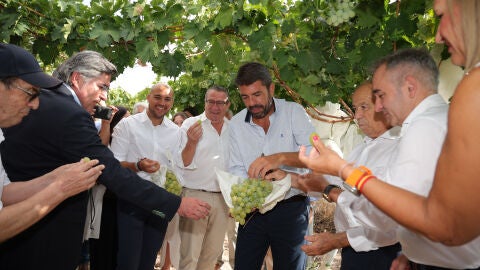 Acto del corte del primer racimo de uva embolsada de mesa del Vinalop&oacute;. 