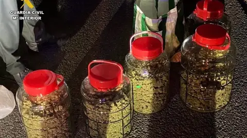 Detenido un hombre de 36 años con más de tres kilos de cogollos de marihuana en un control de carreteras en la A5 en Trujillo Detenido un hombre de 36 años con más de tres kilos de cogollos de marihuana en un control de carreteras en la A5 en Trujillo