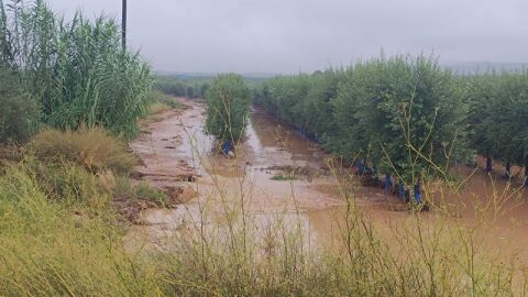 Las lluvias han provocado estragos en algunas zonas de Catalunya