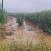 Las lluvias han provocado estragos en algunas zonas de Catalunya