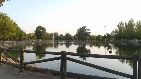 El Ayto. de Don Benito impulsa medidas preventivas para evitar la proliferación de mosquitos con motivo del Virus del Nilo El Ayto. de Don Benito impulsa medidas preventivas para evitar la proliferación de mosquitos con motivo del Virus del Nilo