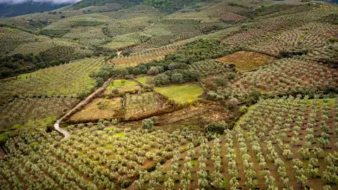 La Junta destina 4,59 millones de euros a trabajos de acondicionamiento y mejora de caminos rurales La Junta destina 4,59 millones de euros a trabajos de acondicionamiento y mejora de caminos rurales