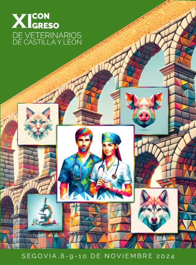 Los veterinarios de Castilla y León celebrarán en Segovia, del 8 al 10 de noviembre, su congreso anual con el lema "De la albeitería a la inteligencia artificial sanitaria" Los veterinarios de Castilla y León celebrarán en Segovia, del 8 al 10 de noviembre, su congreso anual con el lema "De la albeitería a la inteligencia artificial sanitaria"