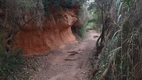 Las lluvias obligan a cerrar los dos a la ruta Bot&aacute;nica de Vila-real 