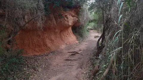 Ruta botánica de Vila-real. Ruta botánica de Vila-real.