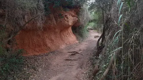 Las lluvias obligan a cerrar los dos a la ruta Botánica de Vila-real Las lluvias obligan a cerrar los dos a la ruta Botánica de Vila-real