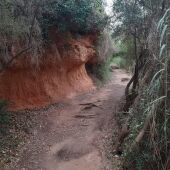 Las lluvias obligan a cerrar los dos a la ruta Botánica de Vila-real 