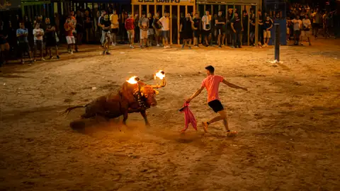 Imagen de un "bou embolat". Imagen de un "bou embolat".