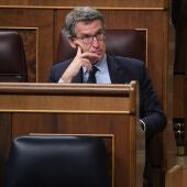 El presidente del PP y líder de la oposición, Alberto Núñez Feijóo