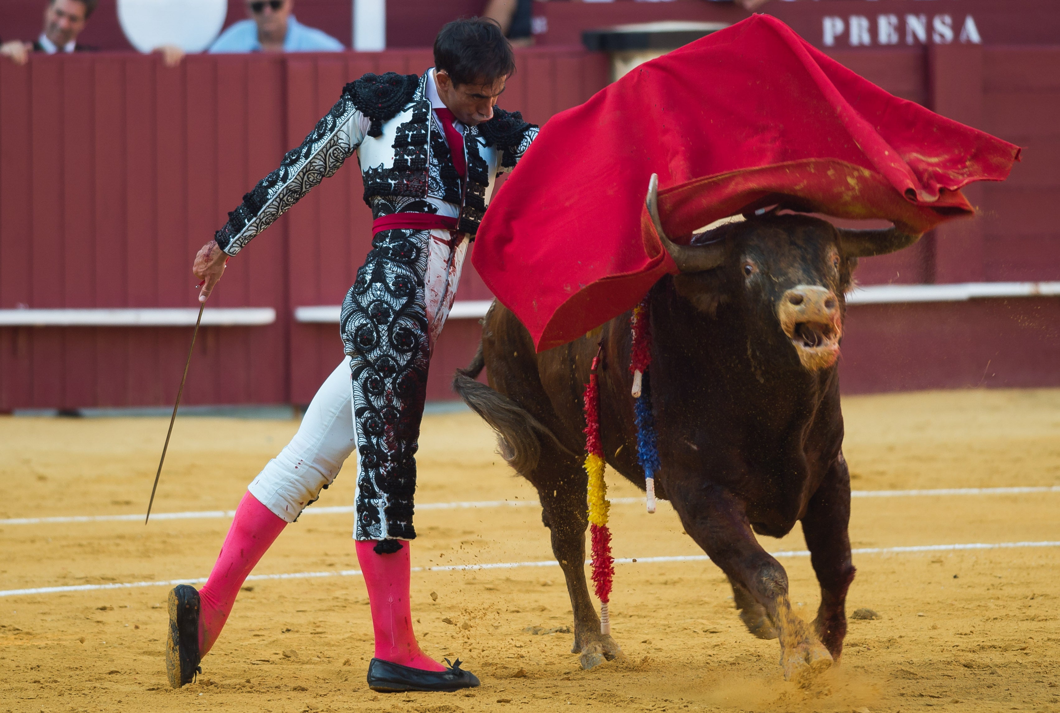 El BOE publica la orden del Ministerio de Cultura que suprime el Premio Nacional de Tauromaquia El BOE publica la orden del Ministerio de Cultura que suprime el Premio Nacional de Tauromaquia
