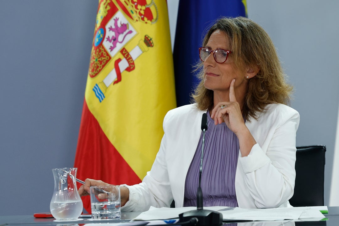 Ribera pide "paciencia" y dejar que Von der Leyen forme su equipo sin hacer "quinielas" Ribera pide "paciencia" y dejar que Von der Leyen forme su equipo sin hacer "quinielas"