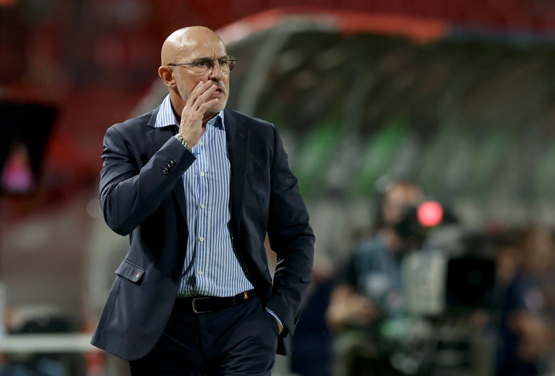 De la Fuente: "Nos ha faltado acierto rematador" De la Fuente: "Nos ha faltado acierto rematador"