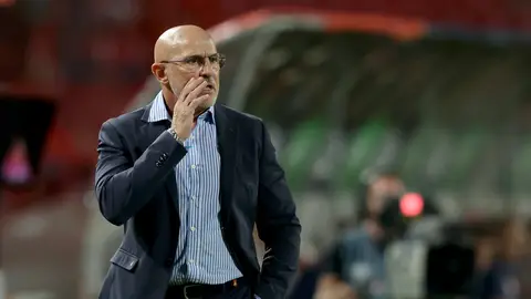 De la Fuente: "Nos ha faltado acierto rematador" De la Fuente: "Nos ha faltado acierto rematador"