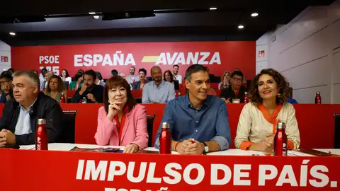 Sánchez anuncia en el Comité Federal del PSOE que se presentará a la reelección de la secretaría general Sánchez anuncia en el Comité Federal del PSOE que se presentará a la reelección de la secretaría general