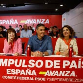 Sánchez anuncia en el Comité Federal del PSOE que se presentará a la reelección de la secretaría general 