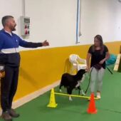 Vuelve la Escuela Canina de Palencia