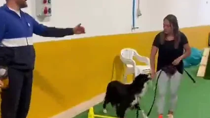 Vuelve la Escuela Canina de Palencia Vuelve la Escuela Canina de Palencia