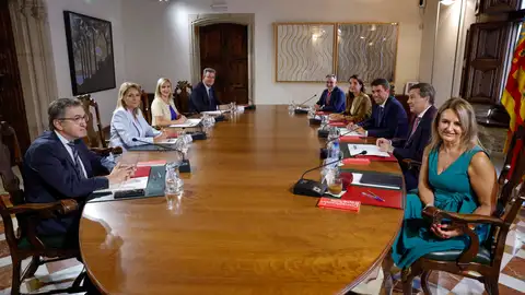 Ple del Consell Ple del Consell