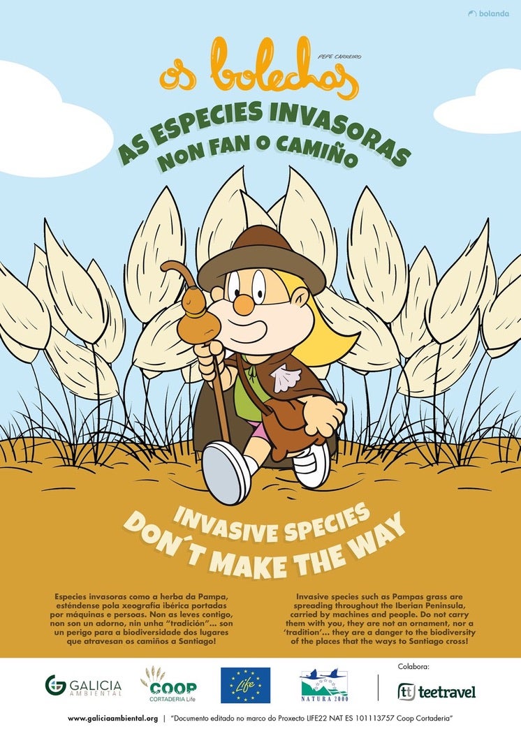 Galicia Ambiental pone en marcha una campaña para evitar la propagación de especies invasoras en el Camino Galicia Ambiental pone en marcha una campaña para evitar la propagación de especies invasoras en el Camino