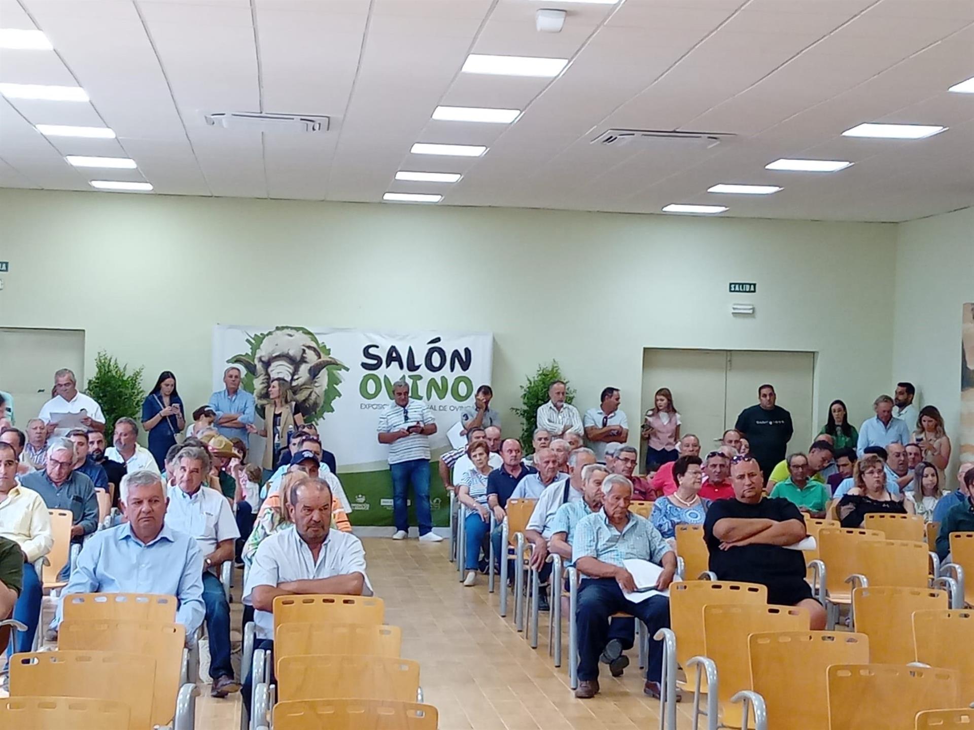 La Diputación de Badajoz participa en la subasta de raza merina del Salón del Ovino de Castuera con un remate final de 9.060 euros La Diputación de Badajoz participa en la subasta de raza merina del Salón del Ovino de Castuera con un remate final de 9.060 euros