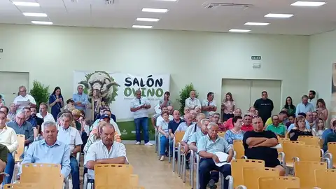 La Diputación de Badajoz participa en la subasta de raza merina del Salón del Ovino de Castuera con un remate final de 9.060 euros La Diputación de Badajoz participa en la subasta de raza merina del Salón del Ovino de Castuera con un remate final de 9.060 euros