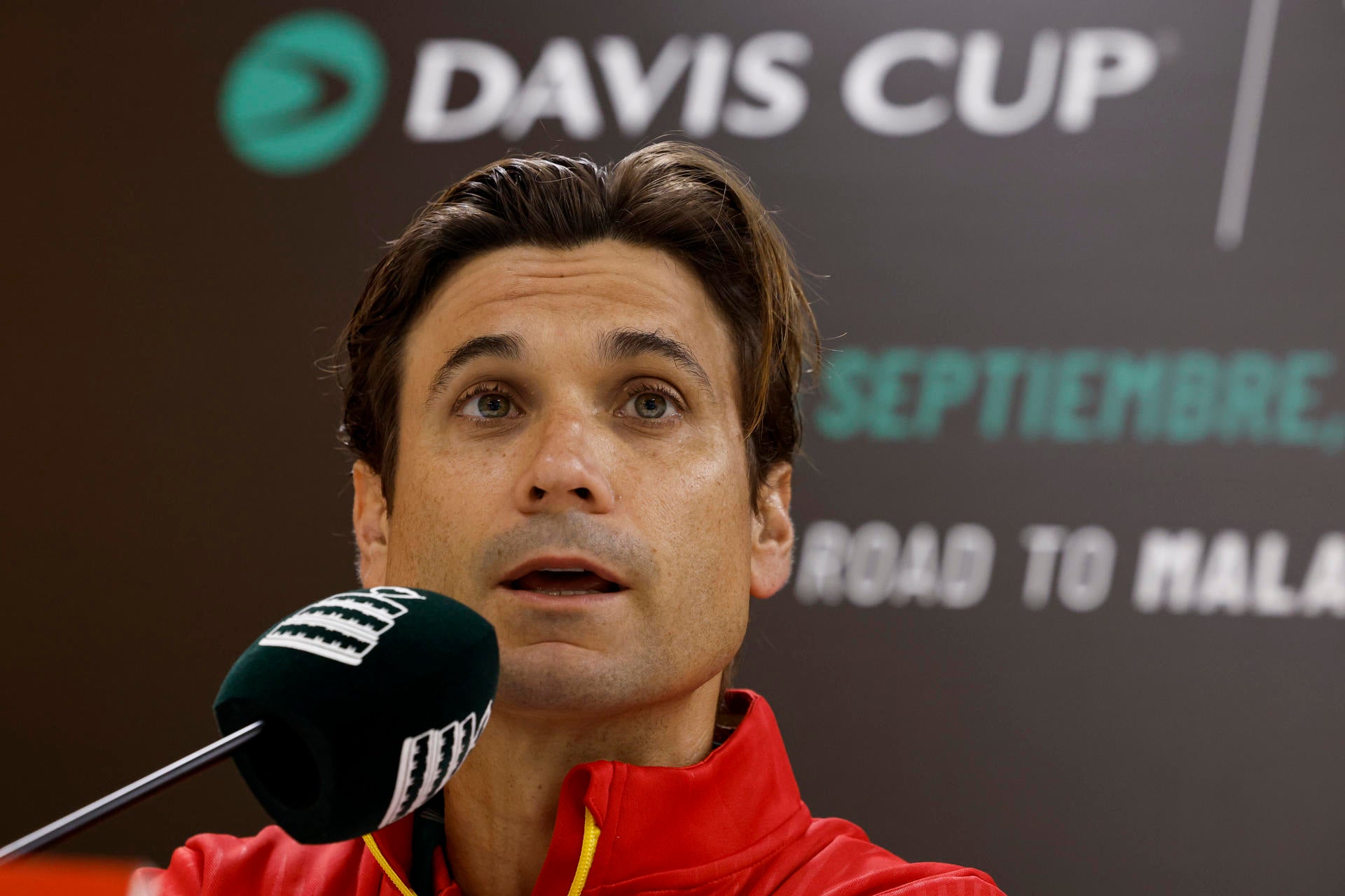 David Ferrer: "Hay motivación y ganas de volver a conquistar la Copa Davis" David Ferrer: "Hay motivación y ganas de volver a conquistar la Copa Davis"