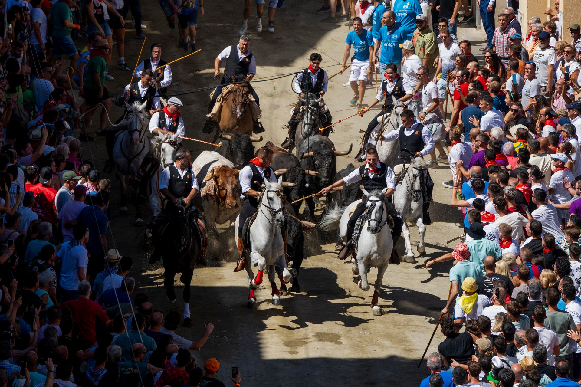Fallece el caballo que resultó herido en la Entrada de Caballos y Toros de Segorbe Fallece el caballo que resultó herido en la Entrada de Caballos y Toros de Segorbe