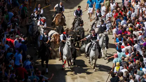 Entrada de toros y caballos de Segorbe Entrada de toros y caballos de Segorbe