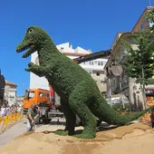 Dinosteo Dinosteo